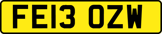 FE13OZW