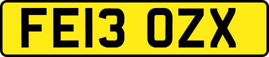 FE13OZX