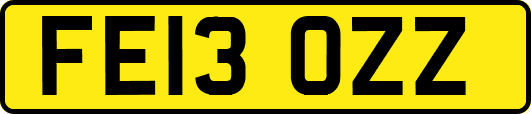 FE13OZZ