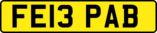 FE13PAB
