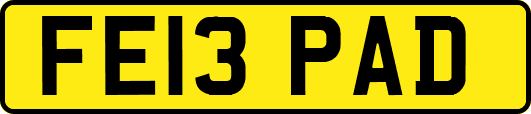FE13PAD