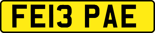 FE13PAE