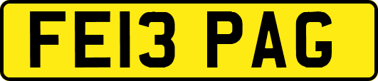 FE13PAG