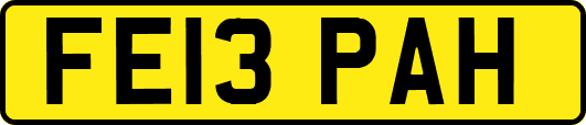FE13PAH