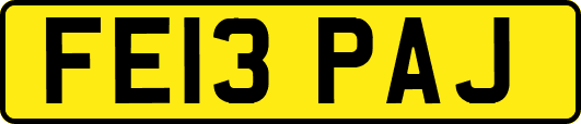 FE13PAJ