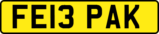 FE13PAK