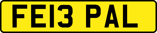 FE13PAL