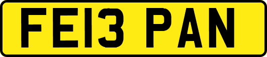 FE13PAN