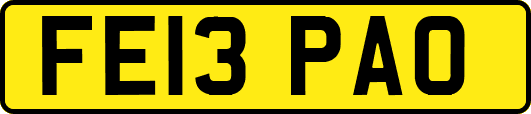 FE13PAO
