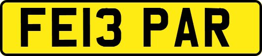 FE13PAR