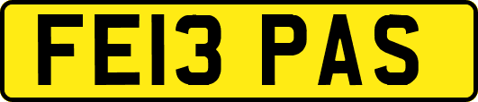 FE13PAS