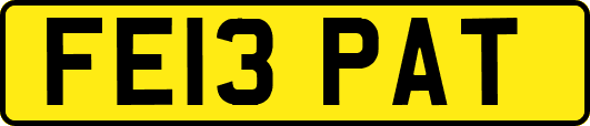FE13PAT