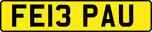 FE13PAU