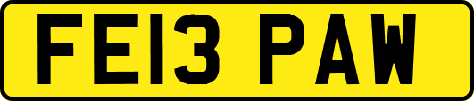 FE13PAW