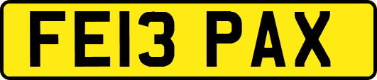 FE13PAX