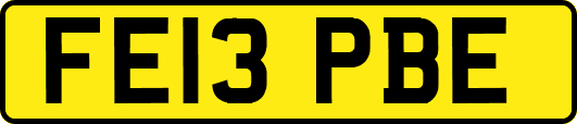 FE13PBE
