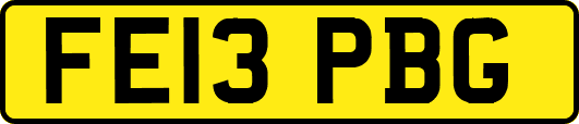 FE13PBG