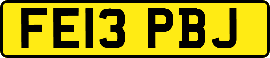 FE13PBJ