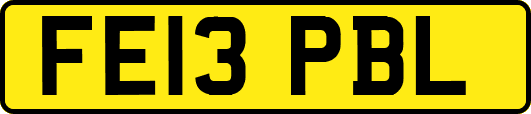 FE13PBL