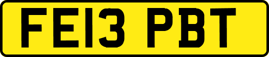 FE13PBT