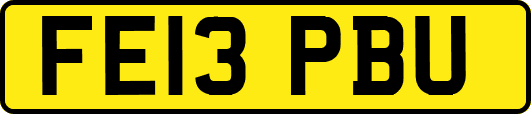FE13PBU