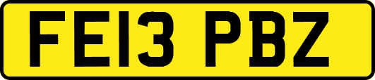 FE13PBZ