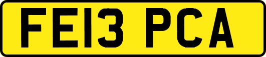 FE13PCA