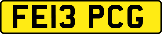 FE13PCG