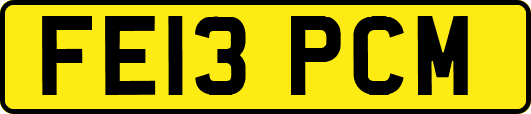FE13PCM