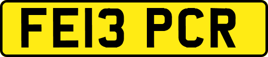 FE13PCR