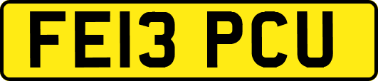 FE13PCU