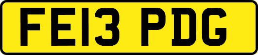 FE13PDG