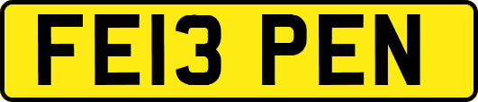 FE13PEN