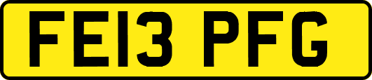 FE13PFG