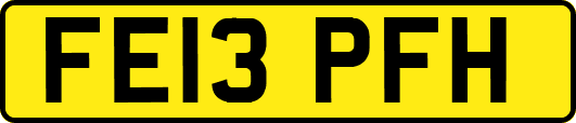 FE13PFH