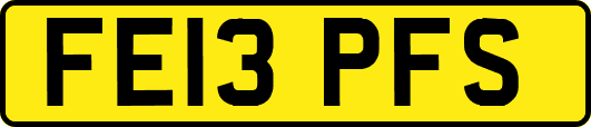 FE13PFS