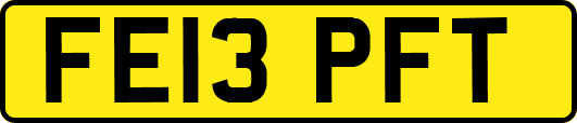 FE13PFT
