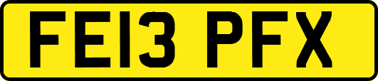 FE13PFX