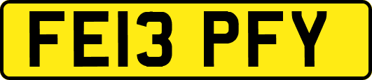 FE13PFY
