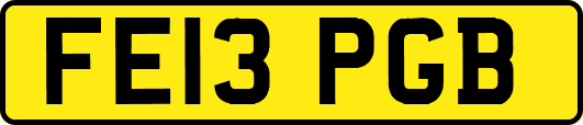 FE13PGB