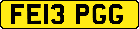 FE13PGG