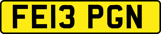 FE13PGN