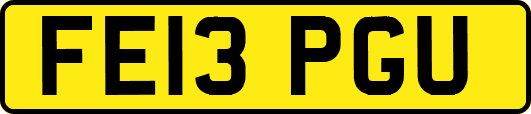FE13PGU
