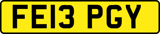 FE13PGY