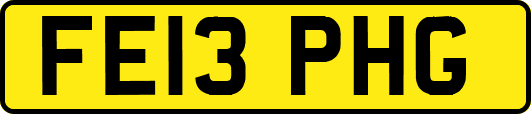 FE13PHG