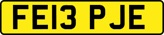 FE13PJE