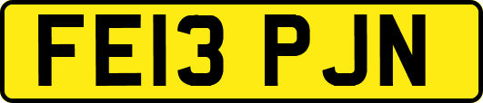 FE13PJN