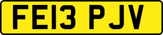 FE13PJV