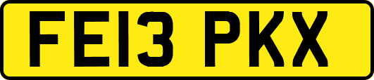 FE13PKX