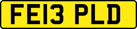 FE13PLD